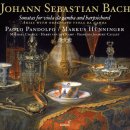 [바흐] 비올라감바와 하프시코드를 위한 소나타 BWV 1027 - 파올로 판돌포 & 마르쿠스 휘닝어 이미지