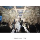 연계당 및 연계소영일기 | 수성호텔 27년 웨딩 본식스냅 연계업체 비교 총정리