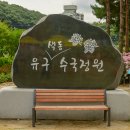 공주 유구마을 색동수국 이미지