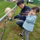 현이목장 이미지