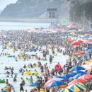 대천해수욕장 이미지