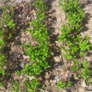 아름농장 이미지