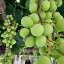 중흥2동 행정복지센터 이미지