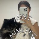 pet 371다2458 | 안트미미 펫 ( Aunt mimi ) 두유백 | 슬링백 | 이동가방