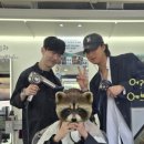 서울미라클치과의원 네이버블로그