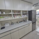 오디세이 동물심장내과 이미지