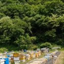 (주)포레스트바이오 이미지