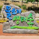 김천물소리생태숲_#2 이미지