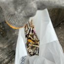 아트 워크 | [쓰담필터 크루 3기] 플로깅&amp;빗물받이 아트워크 활동 후기