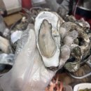 마라도 | 대구 서구 굴구이 맛집 마라도생굴구이 내돈내산 솔직 후기