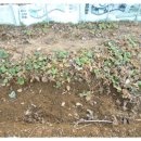 준구농장 이미지