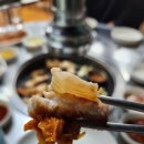 토종도새기