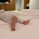 피그 패밀리 이미지