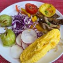 자전거 전용 표지판 | 푸꾸옥 여행, 인터컨티넨탈 푸꾸옥 리조트 이용 후기 3 - 조식, 키즈 클럽, 자전거 대여