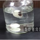 최인평의안 이미지