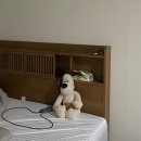 포천영농도매센타 | WED #7. 신혼침대 가성비 구매｜포천 진아트가구아울렛 서민갑부 매트리스 후기