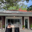 애니브리즈 이미지