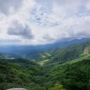 송호욱병원 이미지