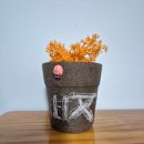 감문초등학교 이미지