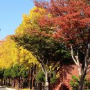 농지목장 이미지