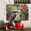 영월한반도농장 네이버블로그