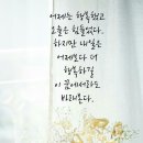 로타리갈비 이미지