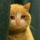 심층적으로 이야기를 읽기: 이야기의 앞뒤에는 무엇이 있을까? | [초등 임용] 재수생의 최종 합격 후기