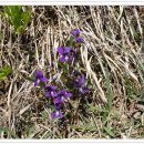 자연그대로 이미지