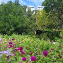 봄·여름·가을 코스 이미지