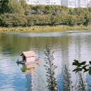 석촌호수어린이집 이미지