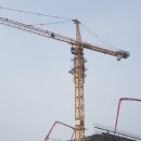 신사운전길 이미지