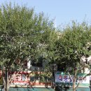 곱창하우스 이미지