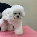 개운하개 이미지