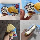 아이스크림할인점하드가 | 저당 아이스크림 추천 저당 붕어싸만코 _ 다이어트 간식 칼로리 솔직후기