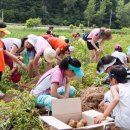 섶밭들마을 이미지