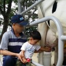 진우목장 이미지