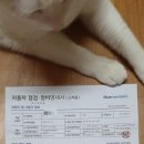 블루핸즈 감삼점 이미지