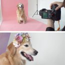 오팔농장 이미지