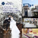 리즈펠리스 이미지