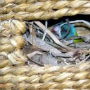 아기사랑 이미지