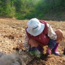 이헌농장 이미지