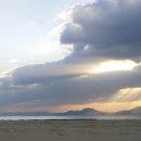 행복하 개 이미지