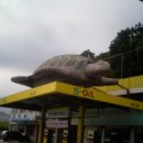 진위거북이주유소 이미지