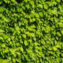 화곡한의원 이미지