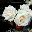 장미다방 이미지