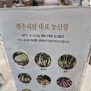 클럽클리오서면지상클럽 | ⛳ 가성비 끝판왕! 원주 센츄리 3인 생생 라운딩 후기 (마운틴코스 필독!)
