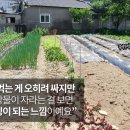 이종근 농장 이미지