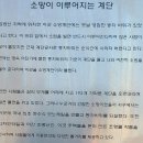 대신여자중학교 | 웬만한 등산만큼 빡센 닥밭골, 그 위 민주공원의 장엄한 충혼탑