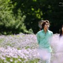 여름향기 이미지