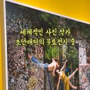 공연 전시장길 코스 이미지